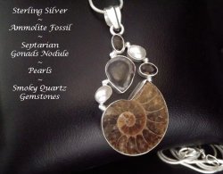 Sterling Silver Necklace Pendant with Ammonite Fossil